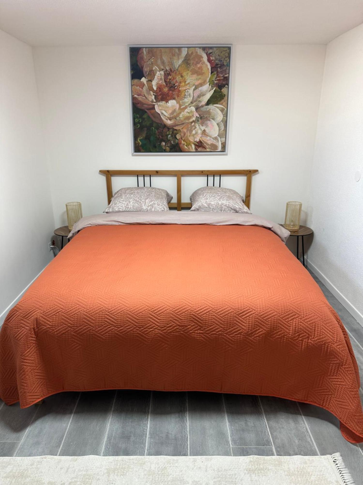 Les Mirabelles Appartement Ensisheim Buitenkant foto