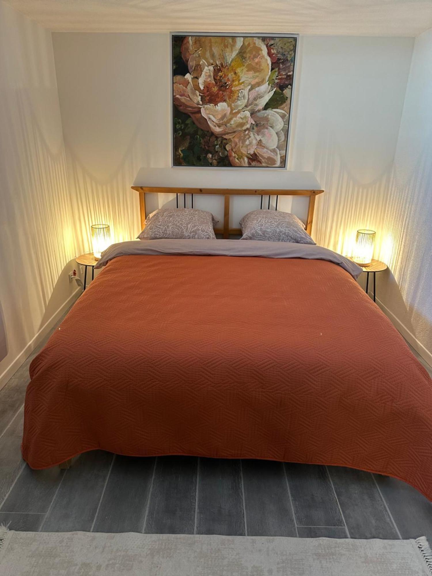 Les Mirabelles Appartement Ensisheim Buitenkant foto